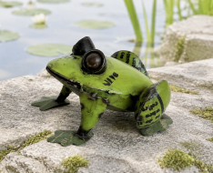 MOE GARDEN FROG *NEW* AVAIL DEC 2026